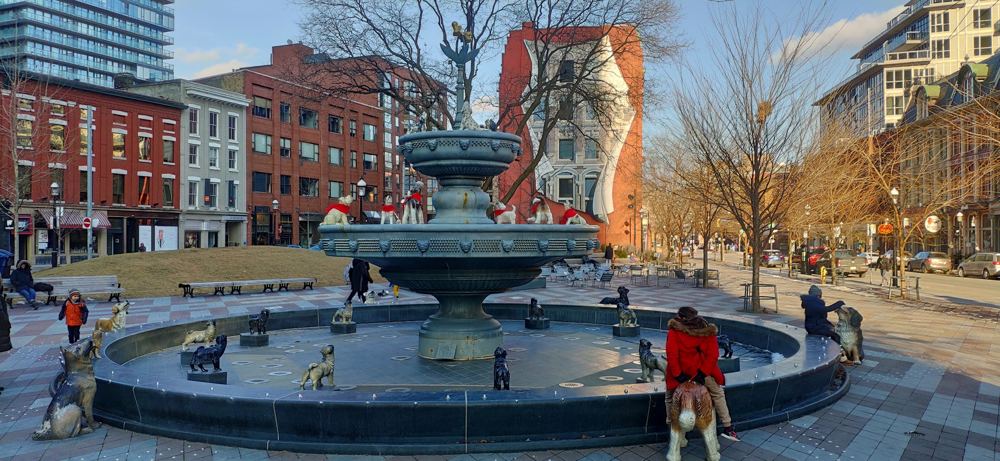 Foto del avistamiento: una plaza con una fuente rodeada de perros de bronce, árboles sin hojas y edificios de ladrillo rojo